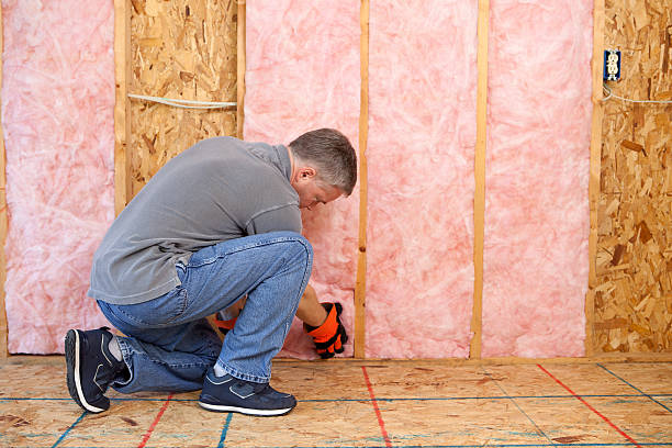 Best Commercial Insulation Services  in Alamogordo, NM